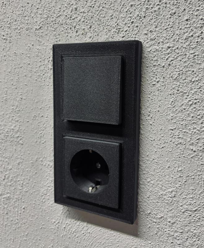 Busch Jäger Schaltwippe