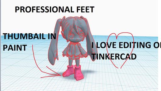 Hatsune Feetku