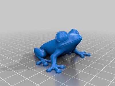 THE FROG