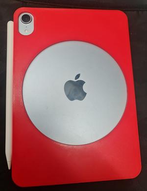 iPad Mini 8.3" Case (2024)