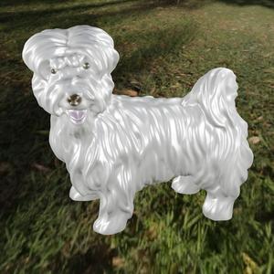 Dog Bichon 1