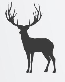 Stag silhouette