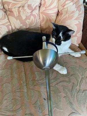 HEMA Cup Rapier Trainer using an Epee Blade