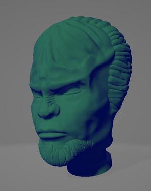 Klingon Head- Star Trek
