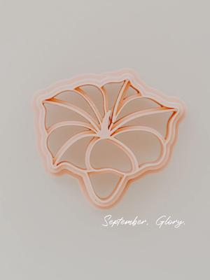 September - Morning Glory