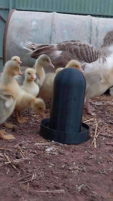 Poultry Water Pot Tower