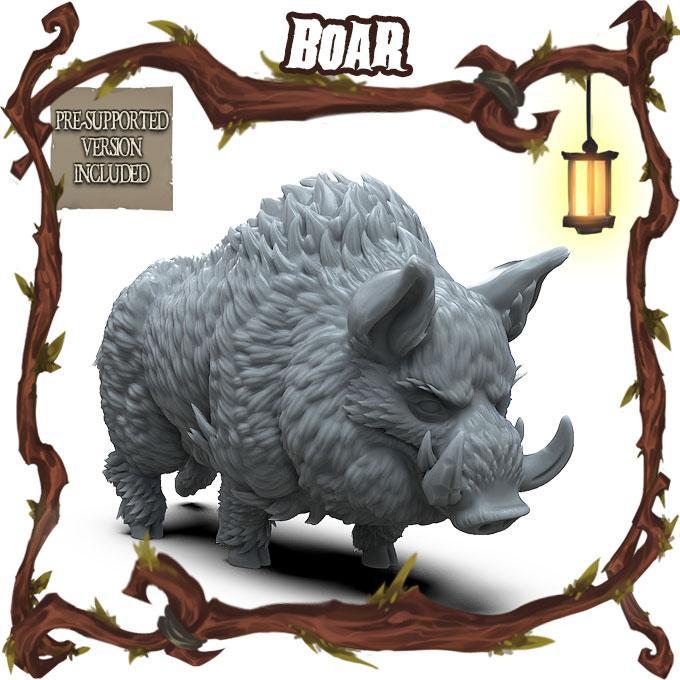 Boar
