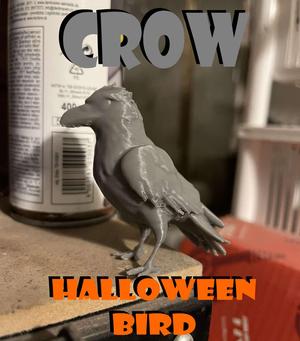 Scary crow, raven