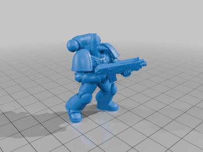 Marine Bois