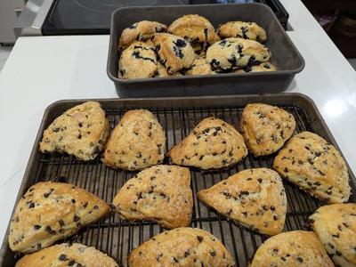 Wedge Scone Cutter