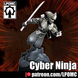 Cyber Ninja