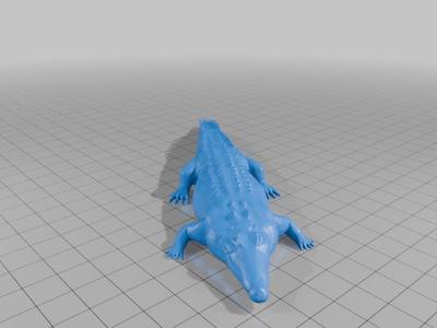 Crocodile
