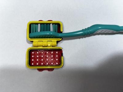 Travel toothbrush case
