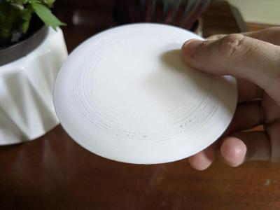 Disc Golf Mini Marker (Flies)