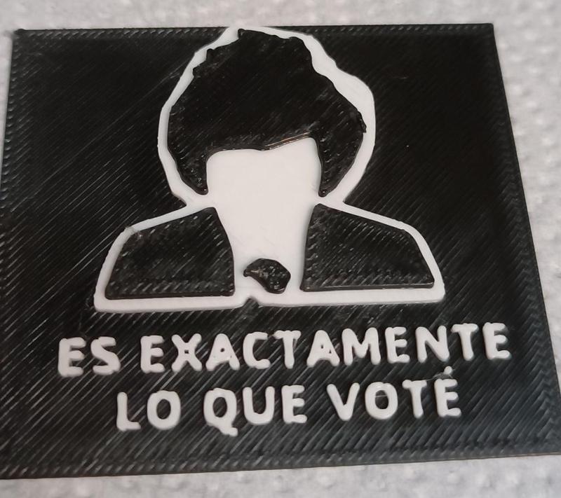 Es Exactamente Lo Que Voté