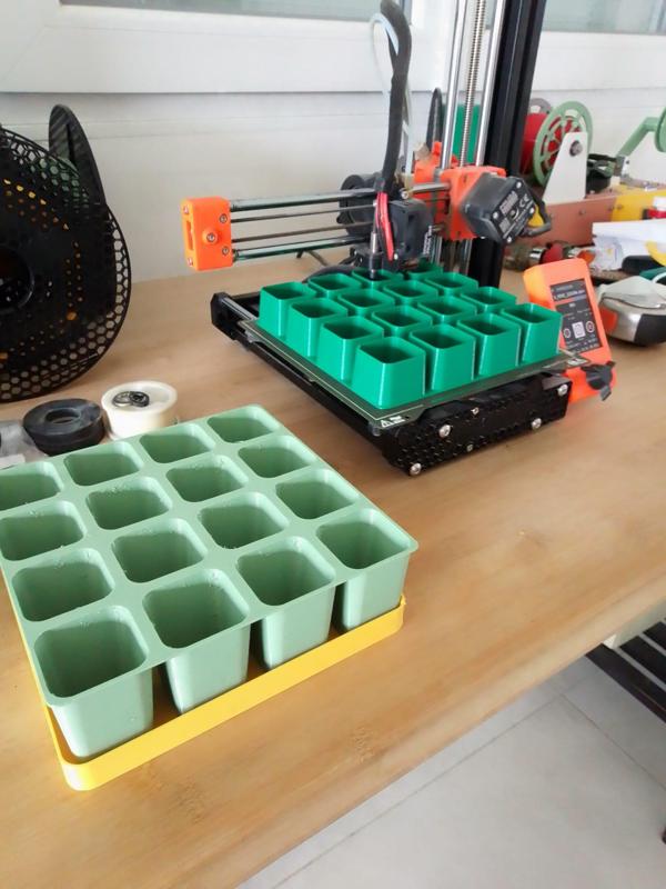 seedling plate - plaque à semis