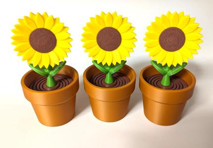 Sunflower - Springy Flower Collection