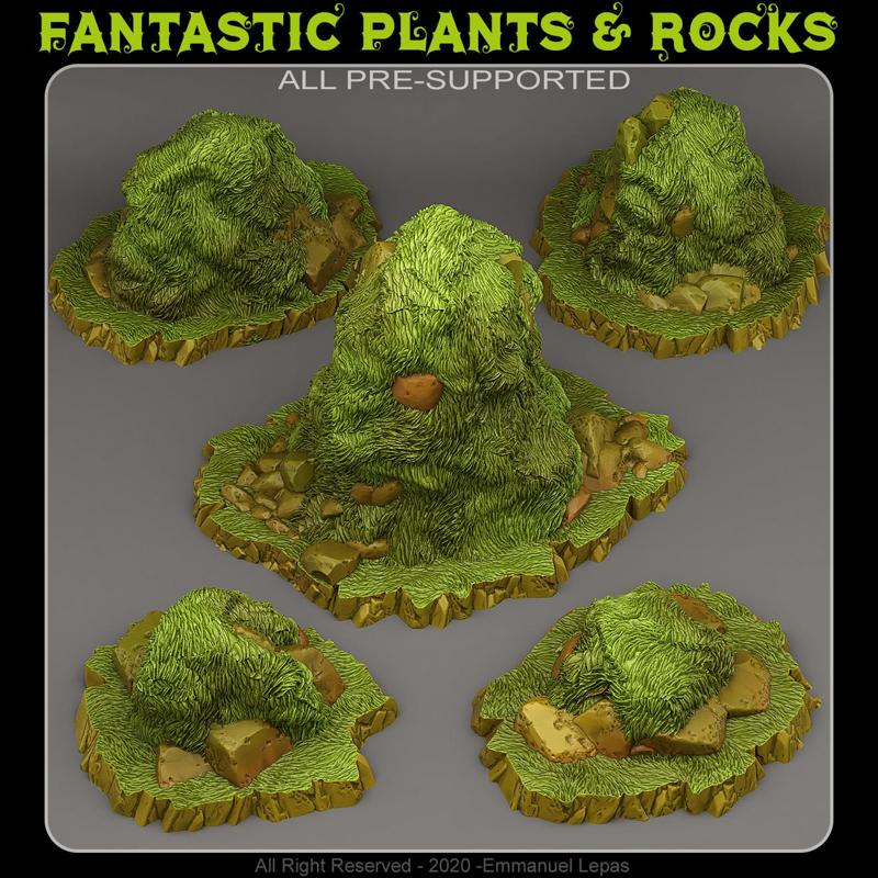 CURIOUS GRASSY ROCKS