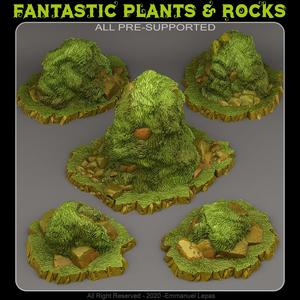 CURIOUS GRASSY ROCKS