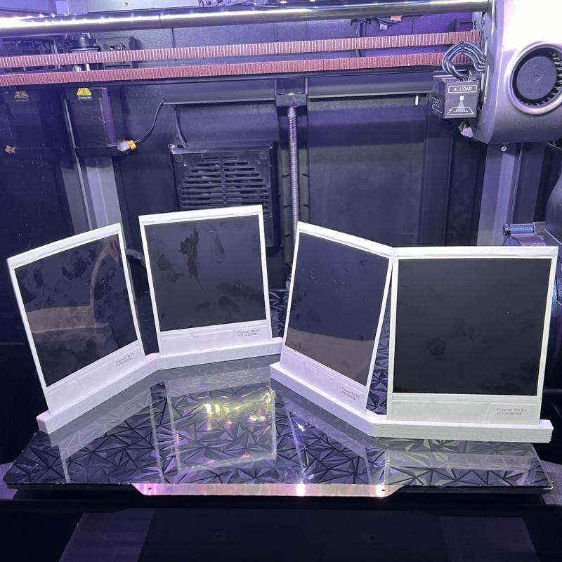 Dual Type I flim photo holder