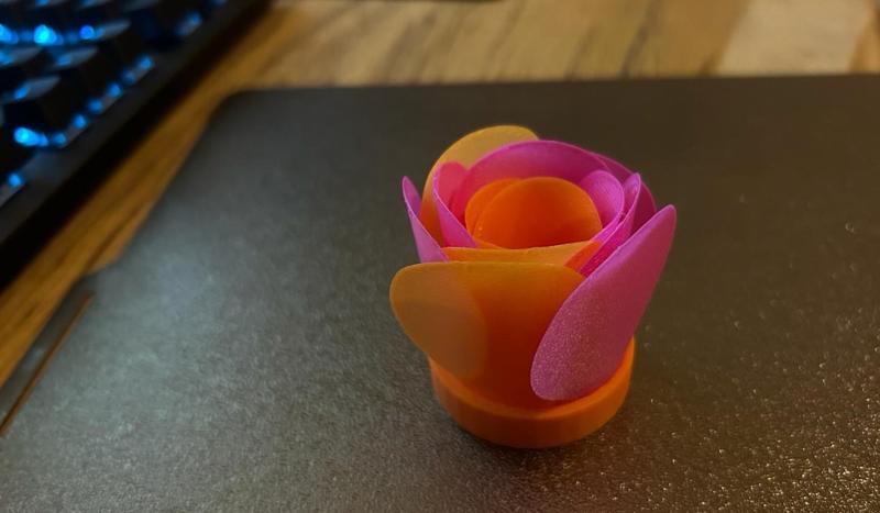 Decoration Rose Blossom