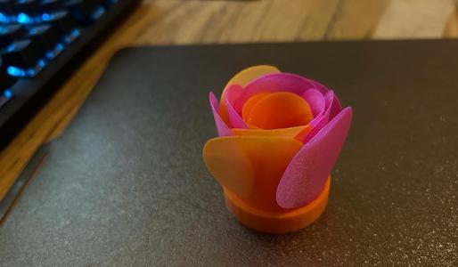 Decoration Rose Blossom
