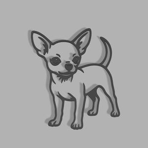 Chihuahua Puppy