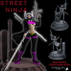 Street Ninja | Mini & Figurine