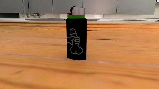 Bic lighter cover Sex 3