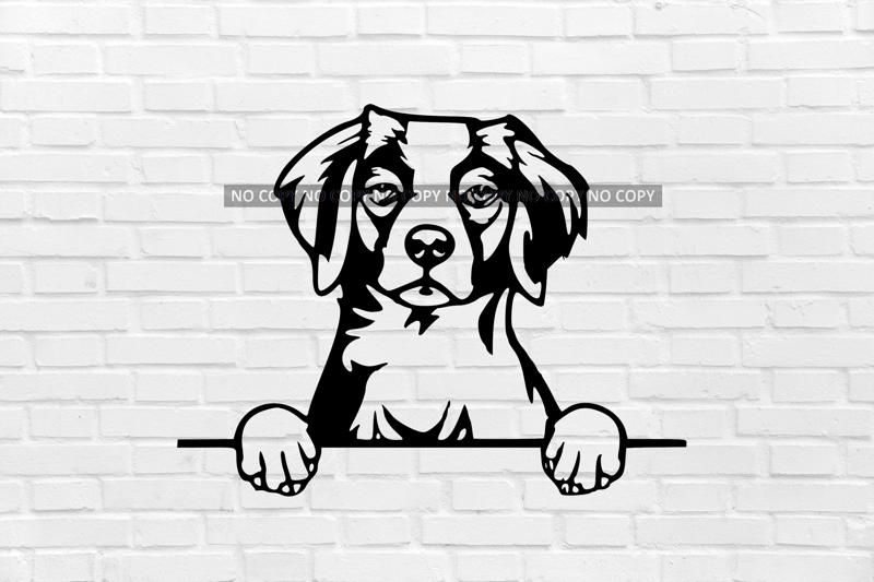wall decoration dog Brittany Spaniel