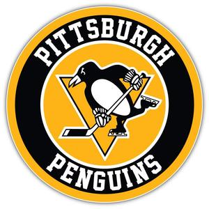 Pittsburgh Penguins Puck