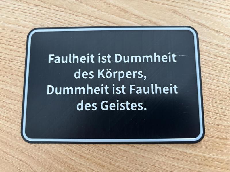 Laziness is the body's stupidity