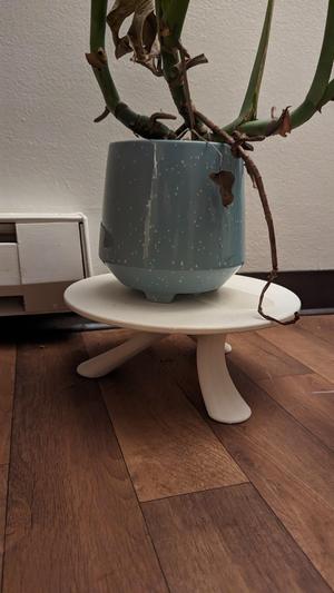 Plant Table