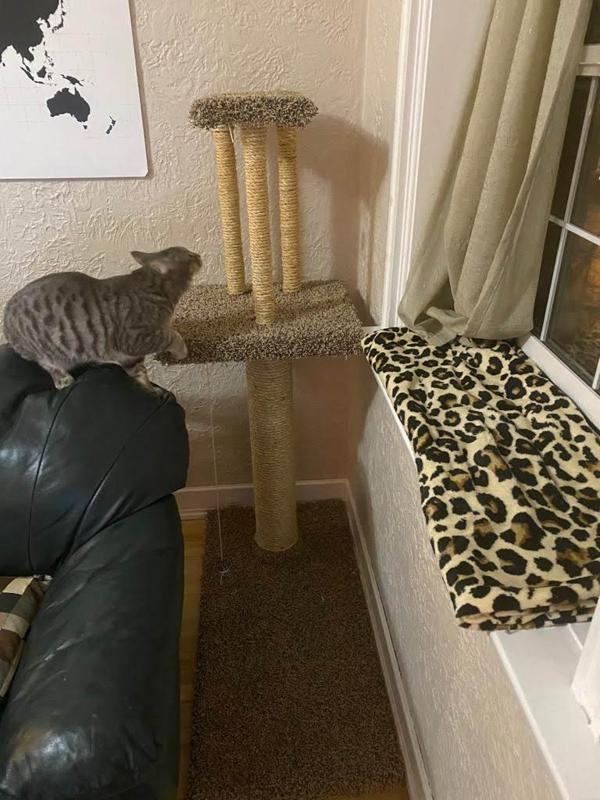 1" PVC schedule-40 pipe flanges