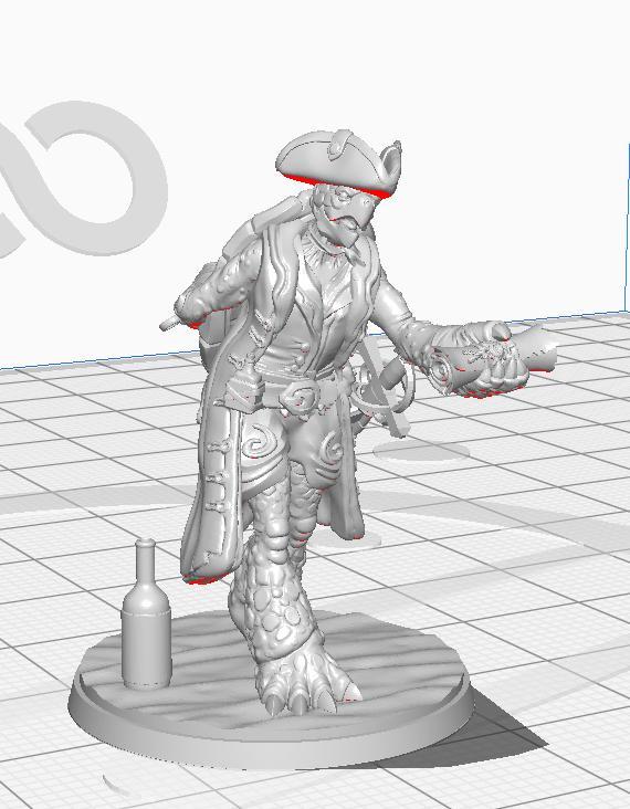 Tortle Pirate Capitain