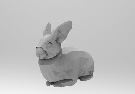 Rabbit