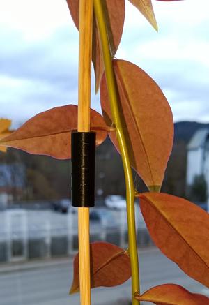 5mm Holzstabverbinder für Pflanzen