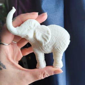 Baby Elephant