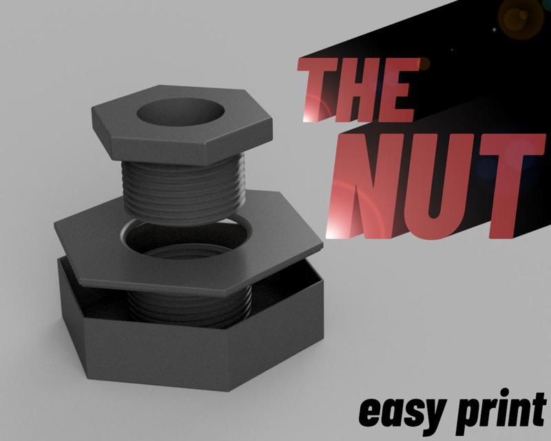 THE NUT | nut shaped container