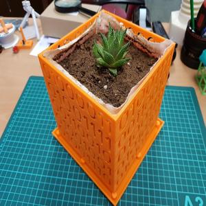 Coded Prunning Flower Pot 