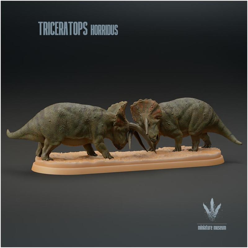 Triceratops horridus : Clash of the Titans