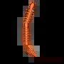 Just an endo arm