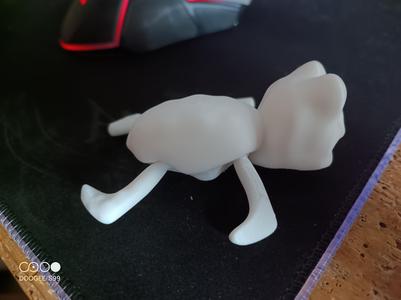 tortue articulée