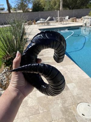 Belphegor horns Obey me!