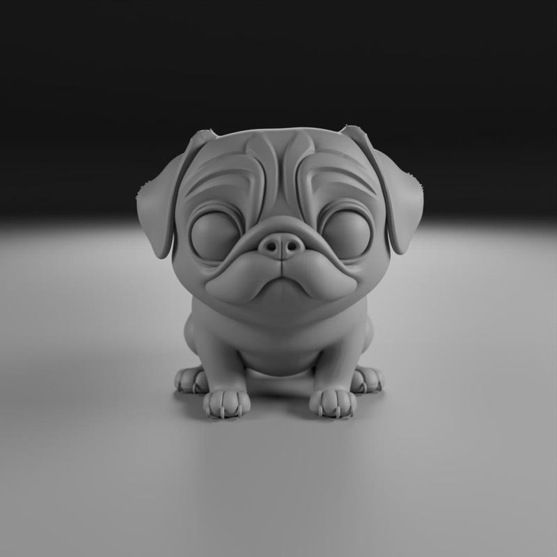 Pug dog