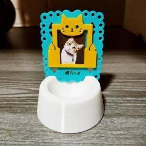 💀🌼✨Mini altar for kittens 🐱 Mini altar for a kitty.