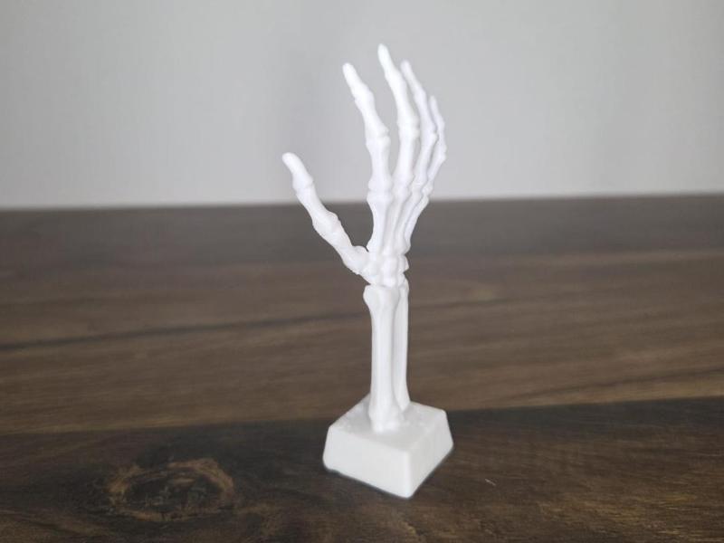Skeleton Hand