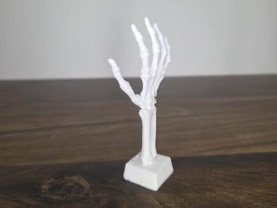Skeleton Hand
