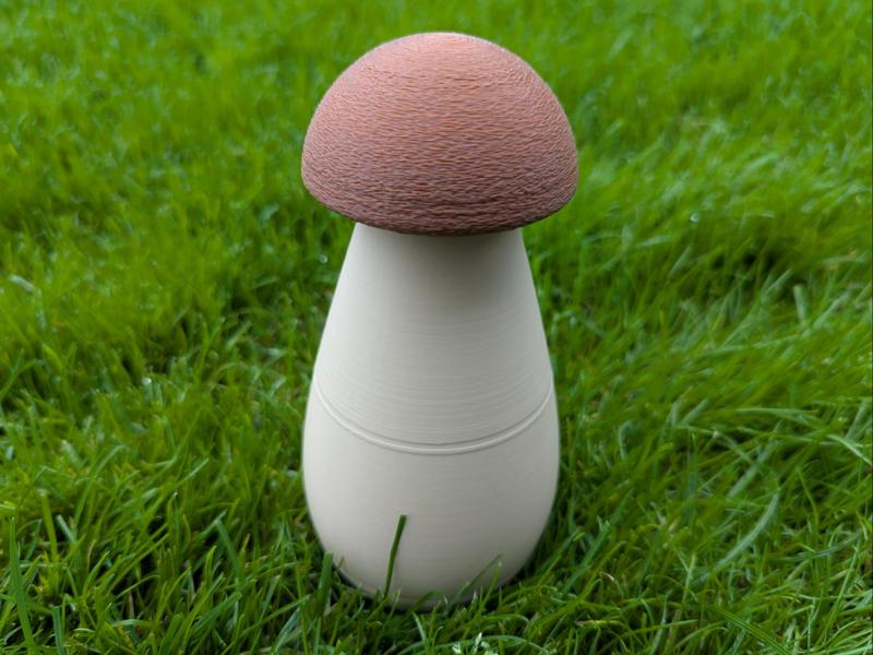cute big mushroom with small cap