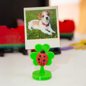 Ladybug photo frame